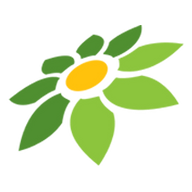 SAMEDAY ANTERAJA TOKOPEDIA